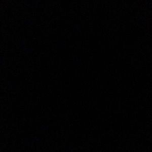 Meet your Posher, Bella